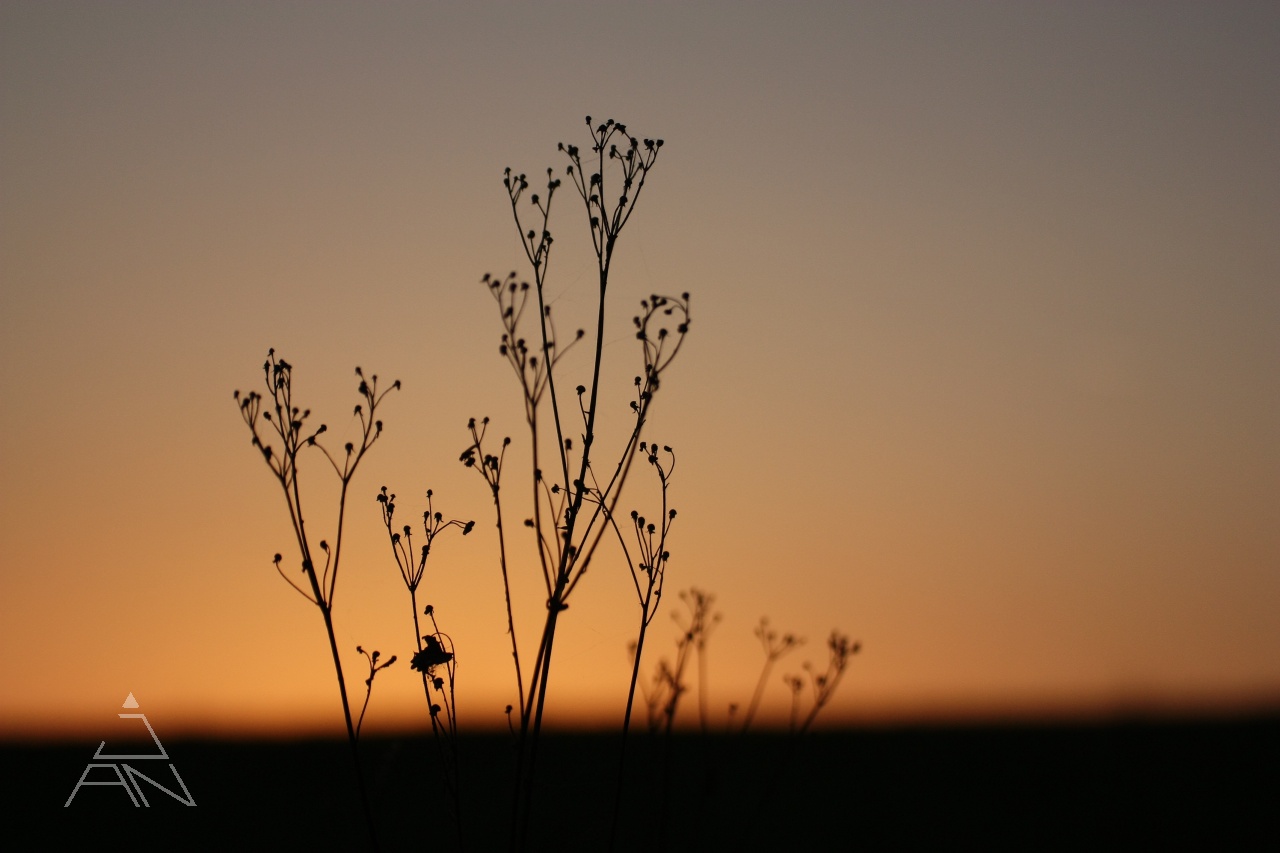 Po západe slnka